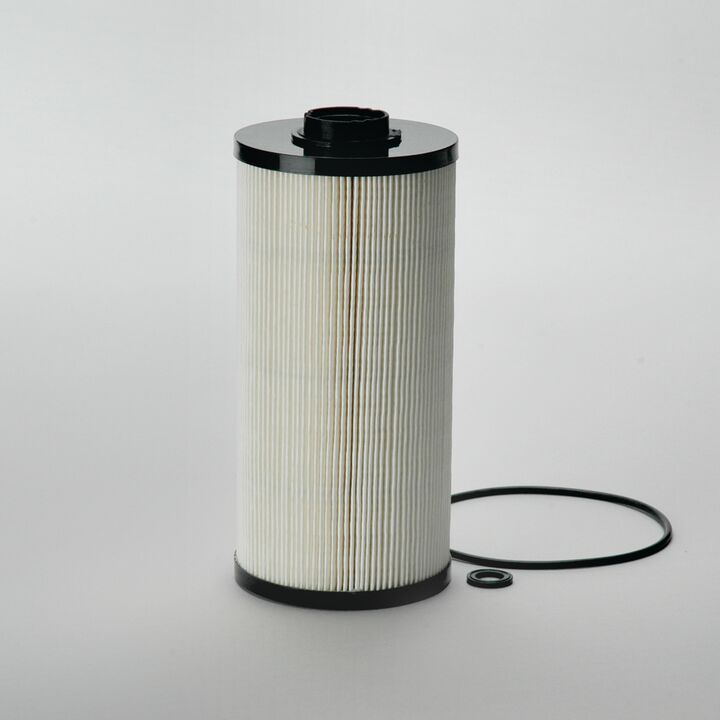 P502424