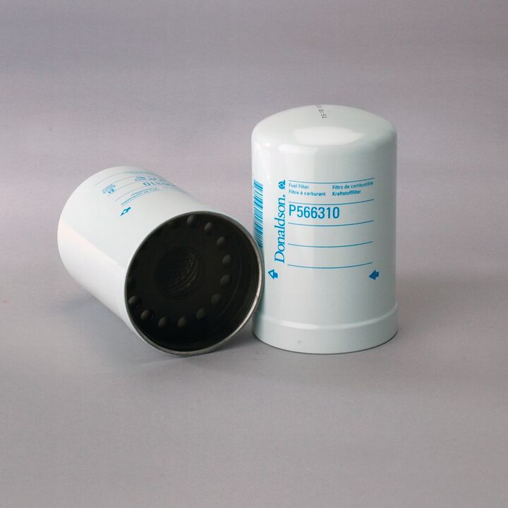 P566310