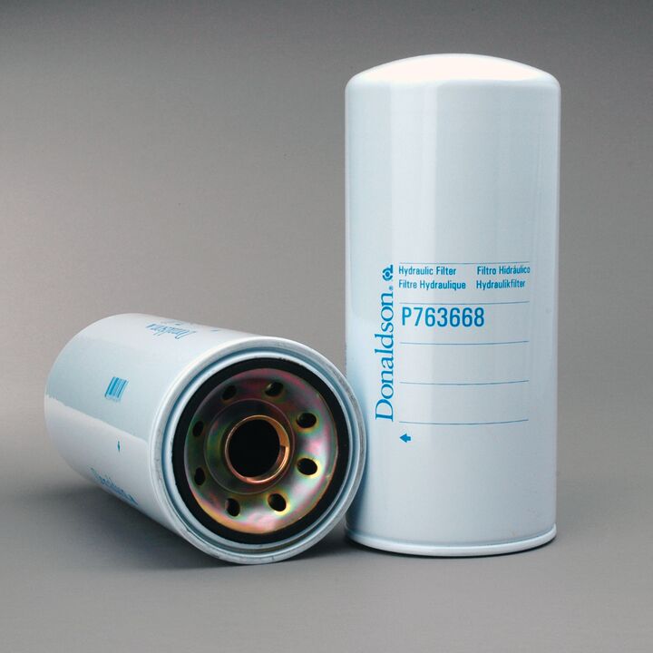 P763668