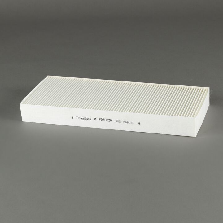 P950620