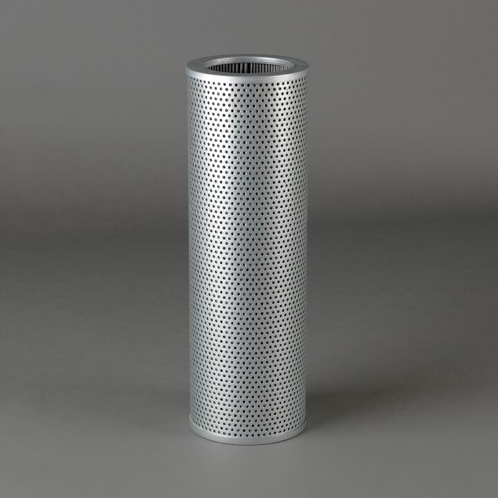 R010081
