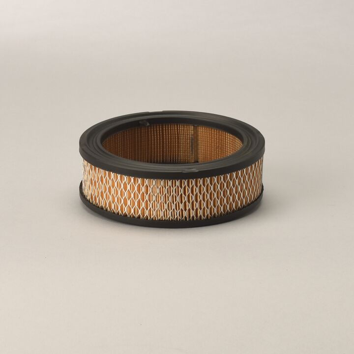 P528231