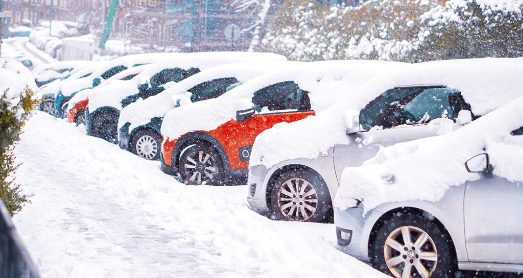 snow by Filter Services